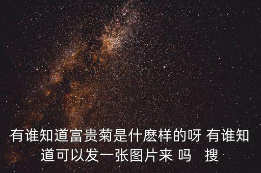 菊花叶子图片，野菊花叶子是什么样子要图片