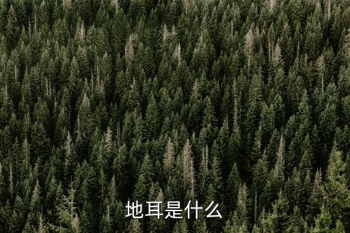 地耳，地耳是什么 吃了这么多年木耳竟不知这事