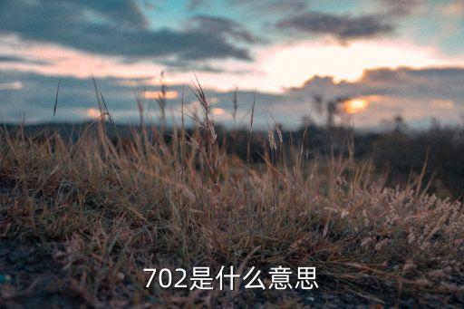 702是什么意思