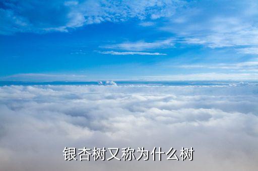 银荆树，银翘树有什么作用