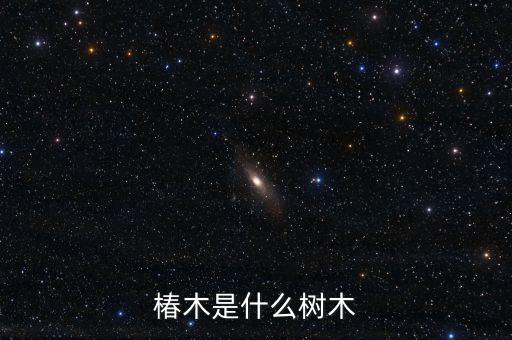 椿木是什么树木