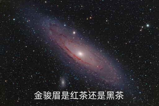 金骏眉属于什么茶，金骏眉是红茶吗