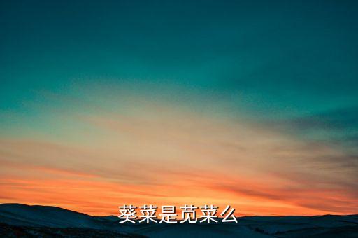 葵菜是苋菜么