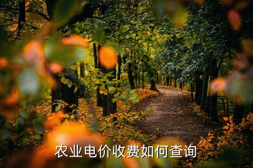 农业用电怎么查询电费账单，农业电价收费如何查询