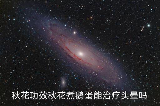 秋花，秋花功效秋花煮鹅蛋能治疗头晕吗