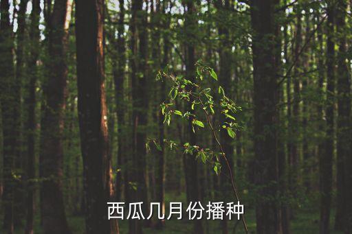 西瓜几月份播种