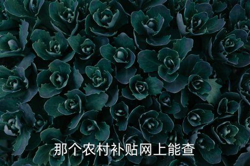 那个农村补贴网上能查