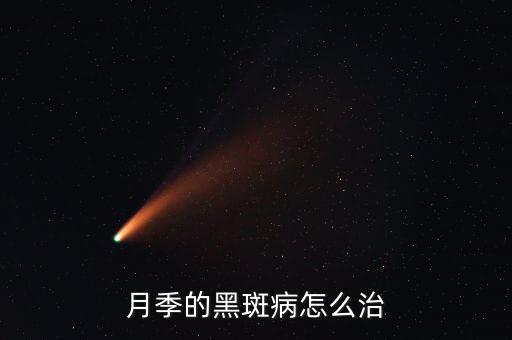 月季的黑斑病怎么治