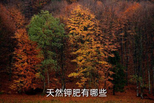 天然钾肥有哪些
