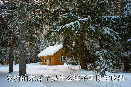 农村的木洋芋是什么样子可以生吃的