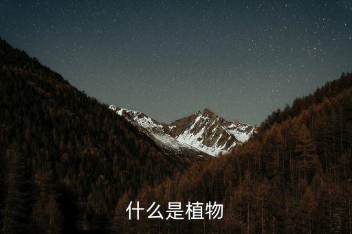 植物植物，什么是植物