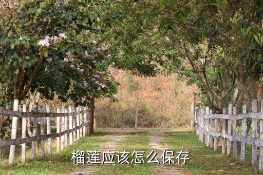 榴莲存放，榴莲应该怎么保存
