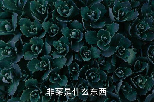 非菜是什么东西