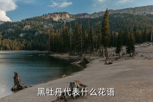 黑色牡丹，黑牡丹代表什么花语