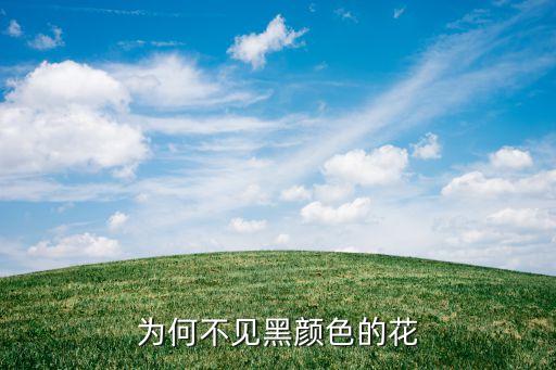 为何不见黑颜色的花