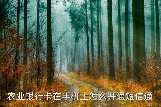 农业卡怎么开通短信，农业银行怎么开通短信提醒