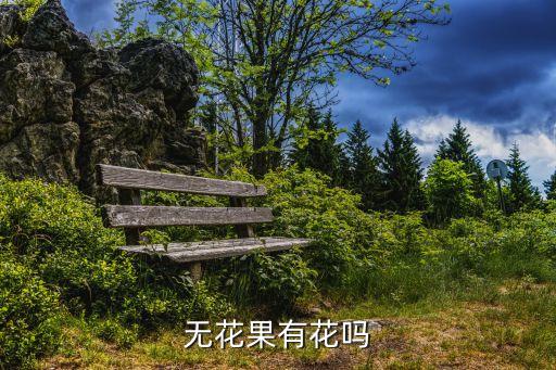 无花果有花吗