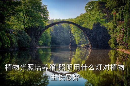 植物光照培养箱 照明用什么灯对植物生长最好