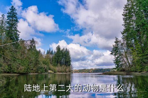陆地上第二大的动物是什么