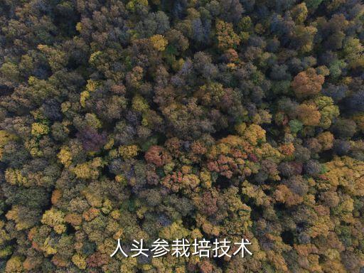 人头参栽培技术