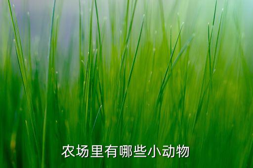 农场里有哪些动物，农场里有哪些小动物