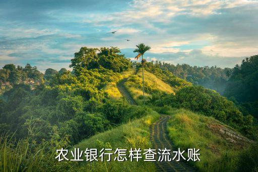 农业APP怎么查询总流水，农业银行怎样查流水账