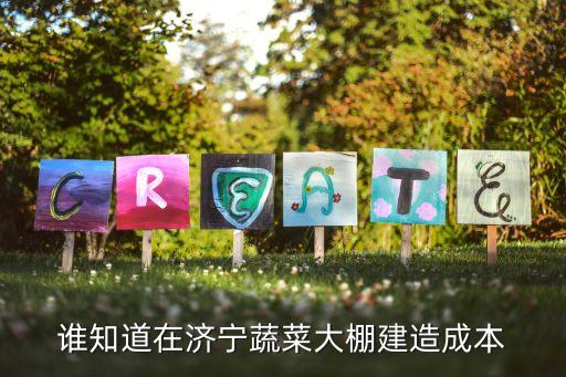 谁知道在济宁蔬菜大棚建造成本