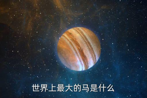 世界上最大的马是什么