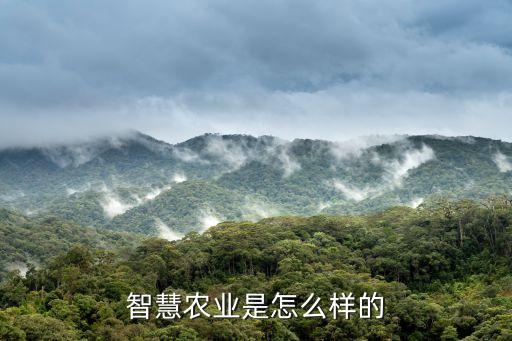武义智慧农业怎么样，智慧农业股票行情