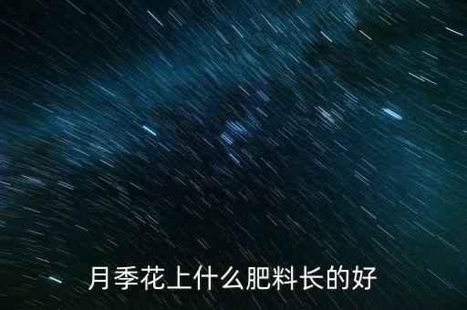 月季花上什么肥料长的好