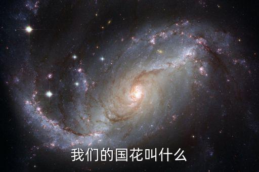 我国国花是什么花，我国的国花是什么