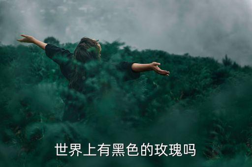 世界上有黑色的玫瑰吗