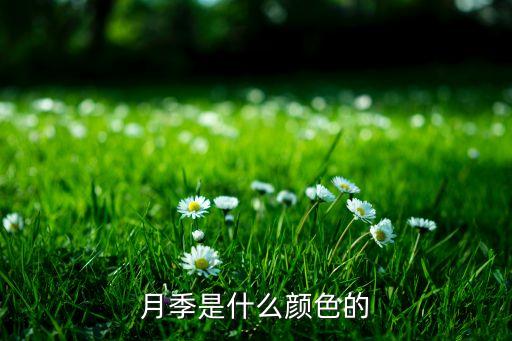 月季花颜色，月季都有哪几种颜色