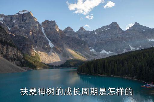 扶桑树，侠岚第五季片尾曲扶桑树是谁唱的