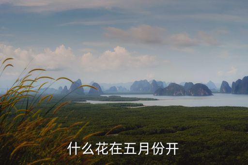 什么花在五月份开
