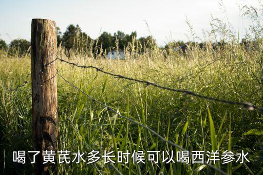 黄芪西洋参，黄芪西洋参和枸杞能不能一起泡水喝
