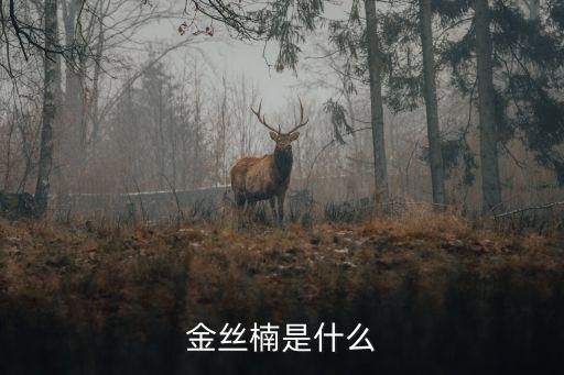 金丝楠木，金丝楠木是什么树木