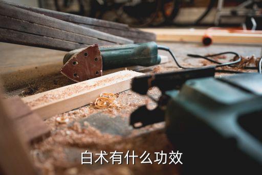 白术有什么功效