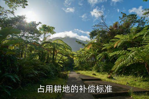 占用耕地的补偿标准