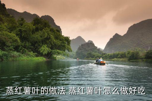 蒸红薯叶，怎样蒸红薯叶