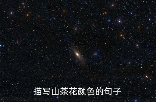 山茶花的颜色，红色山茶花白色山茶花你更喜欢哪个