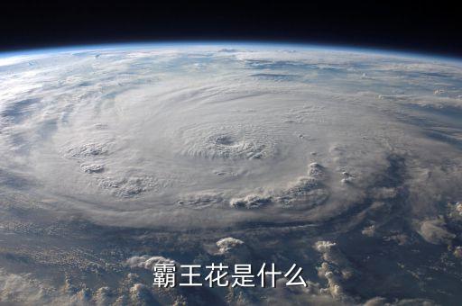 霸王花是什么花，霸王花是什么