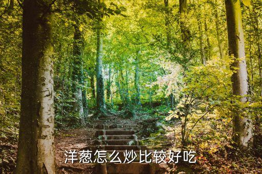 洋葱怎么炒比较好吃