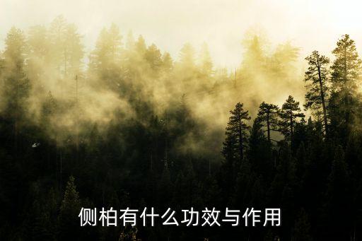 侧柏，侧柏有什么功效与作用