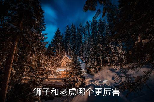 狮子和老虎哪个更厉害