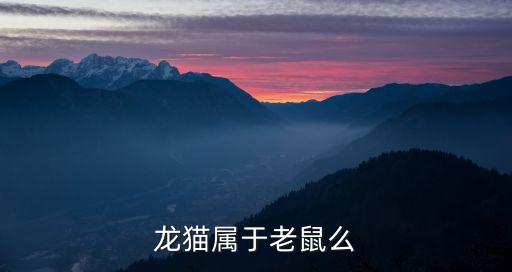 龙猫属于老鼠么