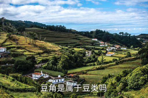 豆角是属于豆类吗