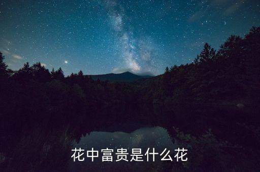 花中富贵是什么花