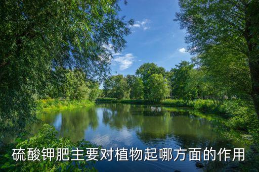 硫酸钾的作用，硫酸钾肥主要对植物起哪方面的作用