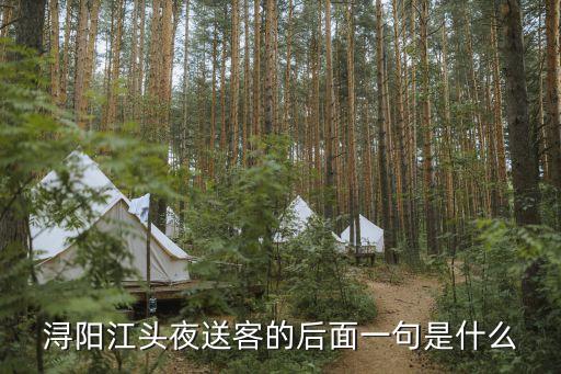 浔阳江头，浔阳江头夜送客下一句